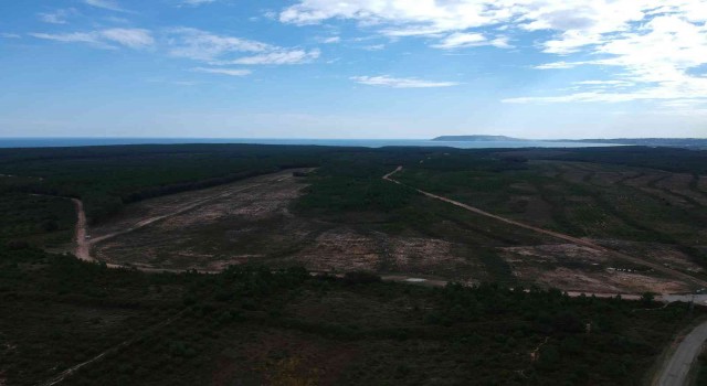 Cumhurbaşkanının işaret ettiği Sinop NGS bölgesi havadan görüntülendi