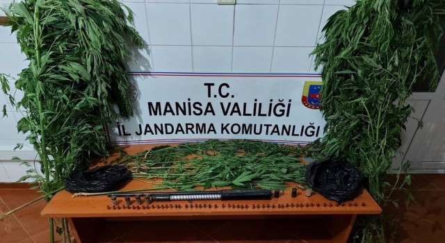 Demirci ve Yunusemrede uyuşturucu operasyonu
