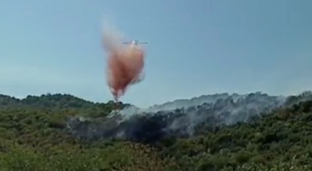 Demrede makilik yangını korkuttu