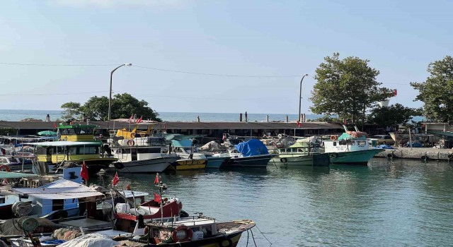 Deniz suyu sıcaklığı avcılığı olumsuz etkiledi