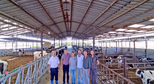 Denizlide hastalıktan ari işletmeler denetleniyor