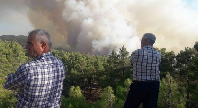 Denizlideki yangın söndürme çalışmalarına Aydından destek gönderildi