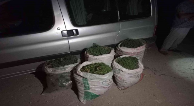 Didimde 100 kilogram deniz börülcesi ele geçirildi
