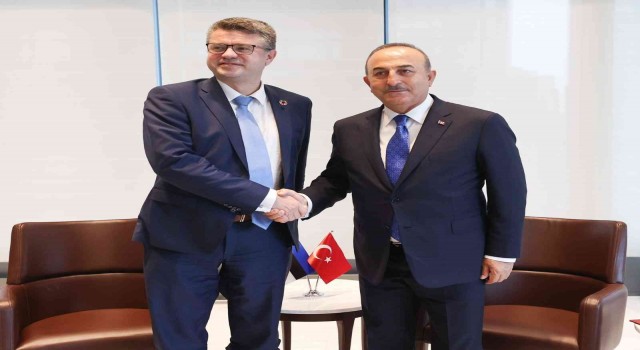 Dışişleri Bakanı Çavuşoğlu, Estonya Dışişleri Bakanı Reinsalu ile görüştü