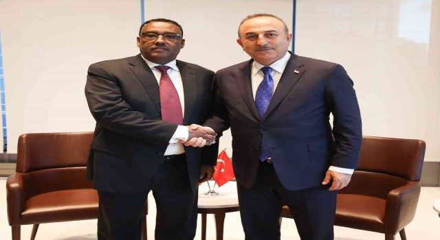 Dışişleri Bakanı Çavuşoğlu, Etiyopya Başbakan Yardımcısı ve Dışişleri Bakanı Demeke Mekonnen ile görüştü