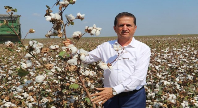 Doğan: Pamuk üretimi desteklenmeli