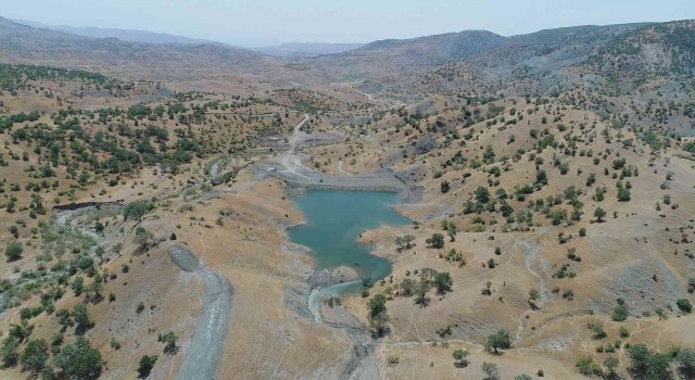 DSİden Siirt hayvancılığına katkı