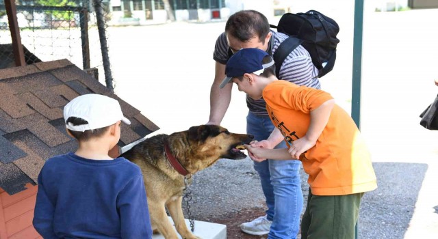 Dünya Hayvanları Koruma Günü Kadıköyde kutlanacak