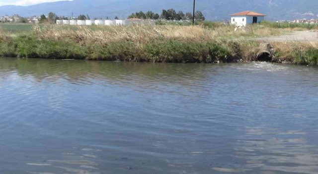 Edremit Çayından kötü kokular geliyor