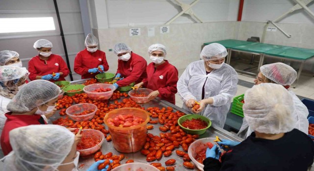 Efeler Belediyesinin fabrikasında ürünler çeşitleniyor