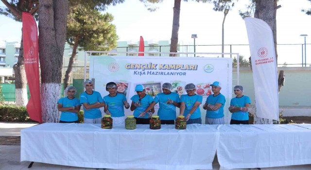 Efeler Gençlik Kampı kışa hazırlanıyor