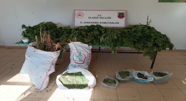 Elazığda 20 kilo esrar ele geçirildi: 1 gözaltı