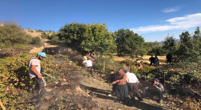 Elazığda ağaçlık alanda yangın: Vatandaşlar seferber oldu