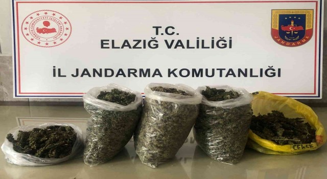 Elazığda jandarma zehir tacirlerine nefes aldırmıyor