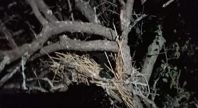 Elazığda kaçak avcı denetiminde bıldırcın sesi çıkaran cihaz ele geçirildi