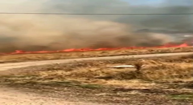 Elazığda korkutan yangın: 10 dönüm alan zarar gördü