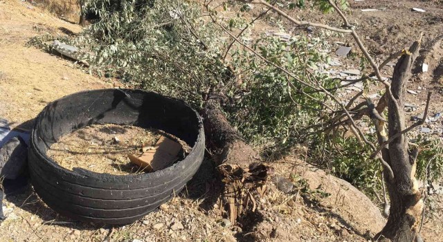 Elazığda pikap şarampole yuvarlandı: 5 yaralı