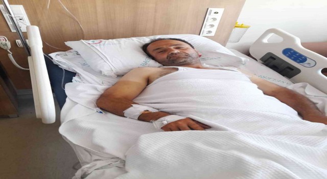 Erik toplamak için çıktığı ağaçtan düşen vatandaş hastanelik oldu