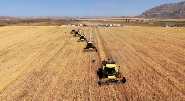 Erzincanda TMOnun, 1 Eylül olarak belirlediği hububat alım süresi 21 Eylüle uzatıldı