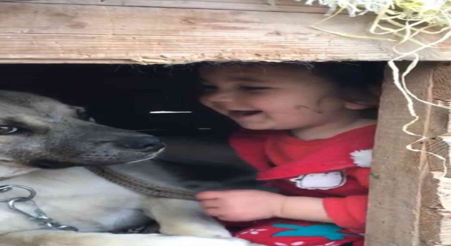 Erzurumda küçük çocuğun köpek sevgisi görenleri gülümsetti