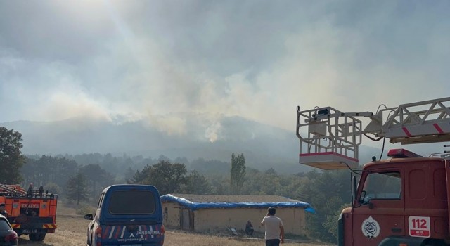 Eskişehirde çıkan orman yangınına müdahale devam ediyor