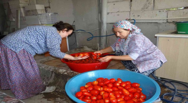 Ev ekonomisine salça katkısı