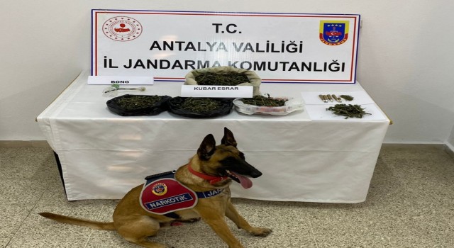 Eve yapılan baskında 1 kilogram kubar esrar ele geçirildi