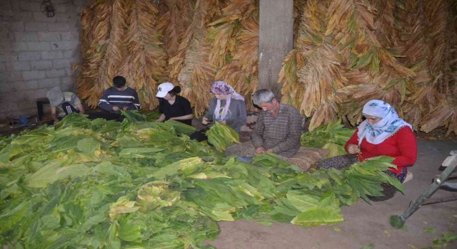 Fedakar çift tütünden kazandığı parayla çocuklarını okutuyor