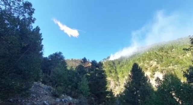 Fekede orman yangını kontrol altına alındı