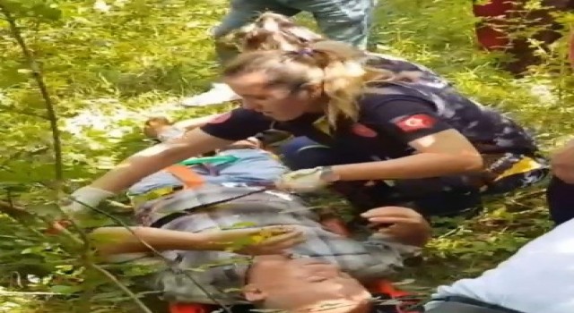 Fındık bahçesinde temizlik yaparken hastanelik oldu