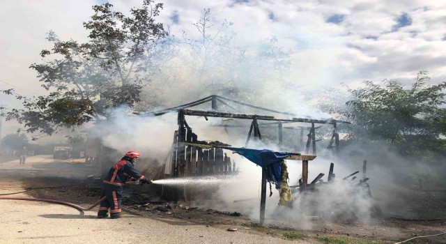 Fındık işçilerinin kaldığı baraka küle döndü