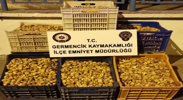Germencikte 450 kilogram incir çalan şüpheliler yakalandı