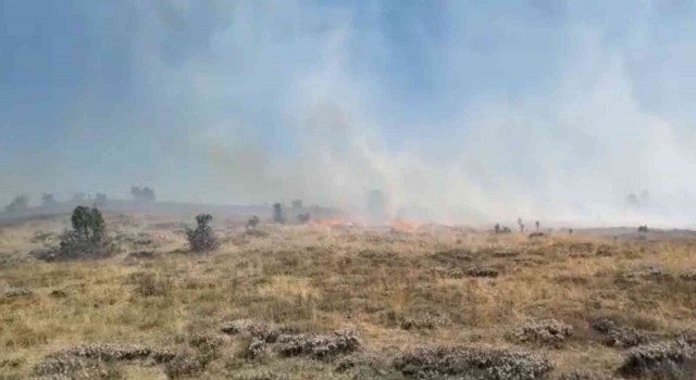 Giresunda örtü yangını, ormana sıçramadan kontrol altına alındı