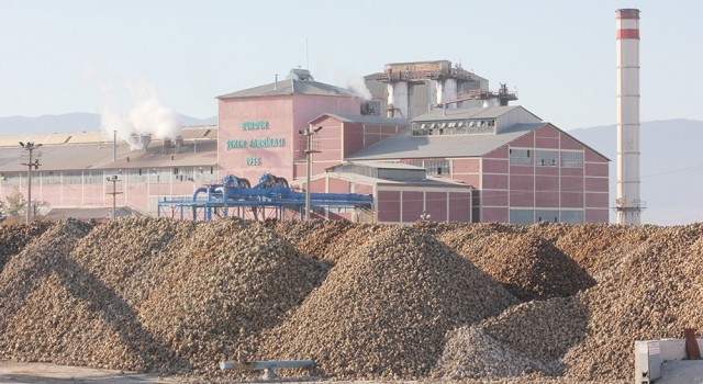 Gölhisarda şeker pancarı hasatı başladı