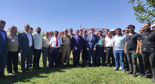 Gürpınarda silajlık mısır hasadı