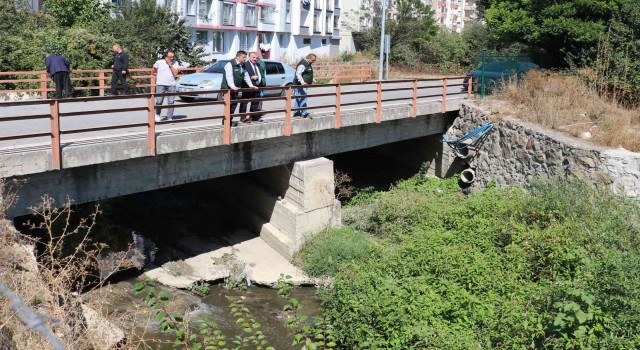 Hacı Osman Deresi ve Tersakan Irmağının ıslahı talebi