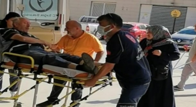 Hafif ticari araç direğe çarptı: 1 yaralı
