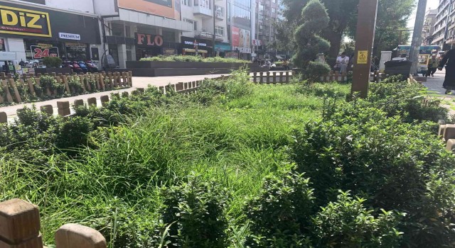 Hamamyolundaki bu alanlar bakım bekliyor