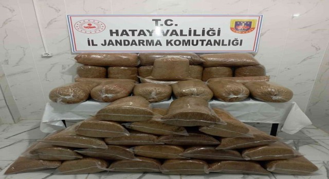 Hassada 245 kilo kaçak tütün ele geçirildi