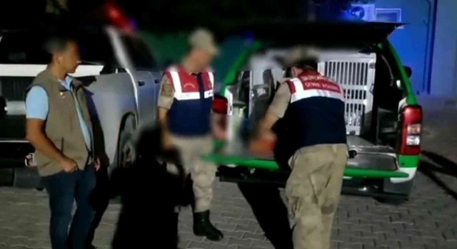 Hatayda böcek toplayan kişiye 109 bin lira para cezası