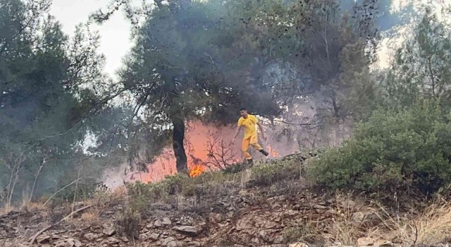 Hatayda ormanlık alanda çıkan yangın evlere sıçramadan söndürüldü