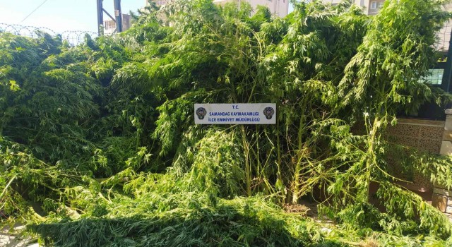 Hatayda uyuşturucu operasyonları