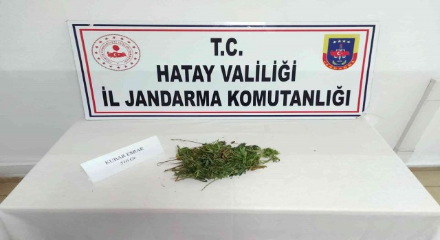 Hatayda uyuşturucu operasyonu
