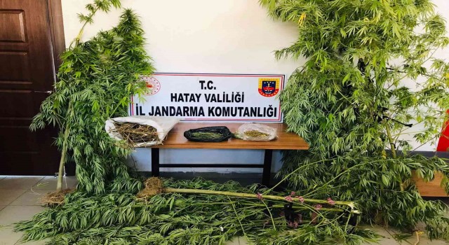 Hatayda uyuşturucu operasyonu