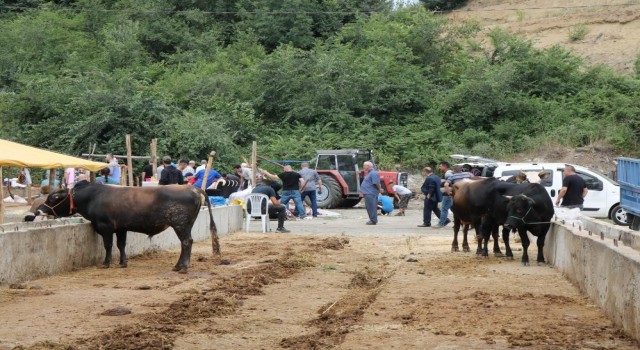 Hayvancılıkta Sözleşmeli Besicilik dönemi