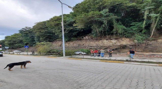 Heyelanda devrilen ağaç park halindeki aracın üzerine düştü
