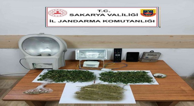 Hırsızlık yapan şüpheli uyuşturucuyla yakalandı