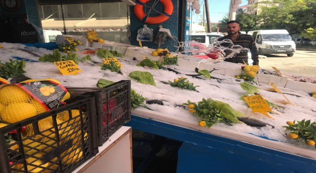 Iğdırda balıklar tezgahtaki yerini aldı