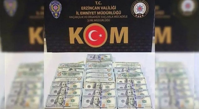 Iğdırda dolar gasp ettiği öne sürülen şüpheli Erzincanda yakalandı