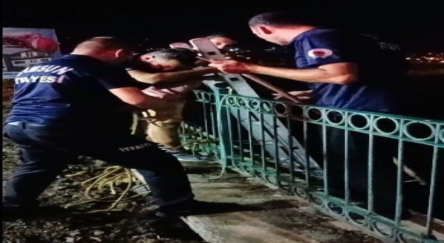 Irmak kenarında mahsur kalan köpeği itfaiye kurtardı